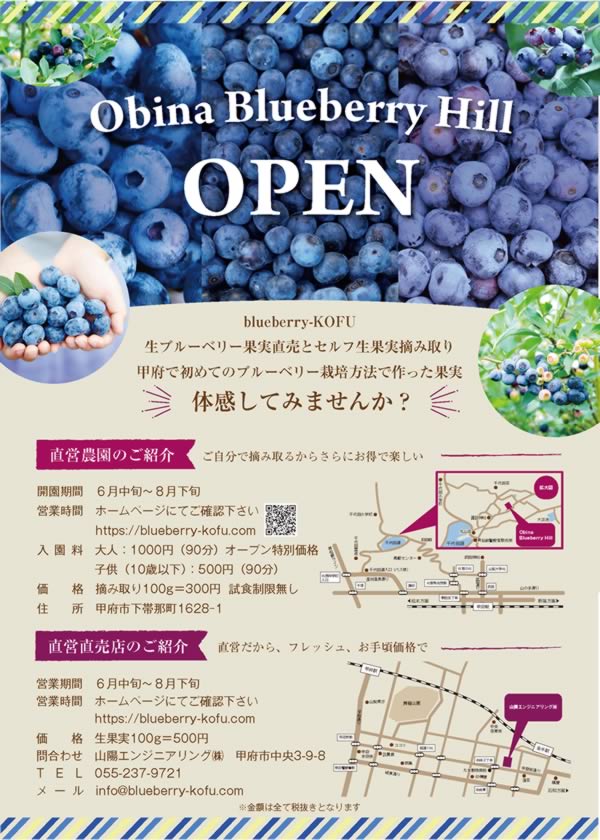 山梨県甲府市のブルーベリー農園 Obina Blueberry Hill 甲府のブルーベリー農園